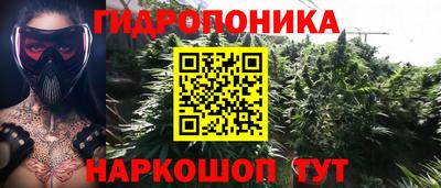 гидра Жуковский