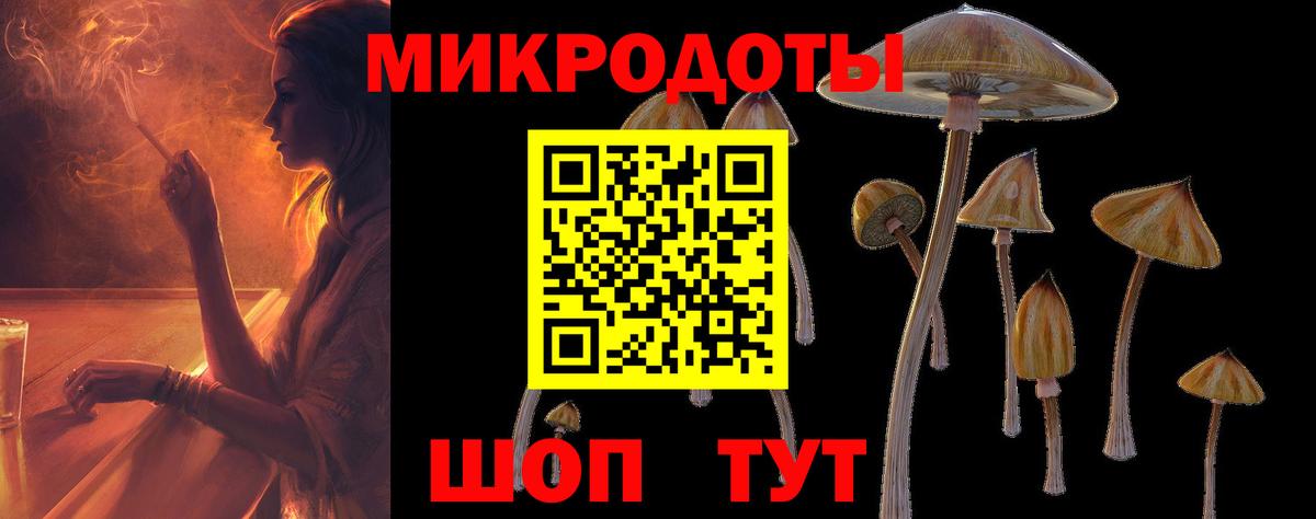 Галлюциногенные грибы Psilocybine cubensis  Псилоцибиновые грибы мицелий  Вход с VPN  Лянтор 